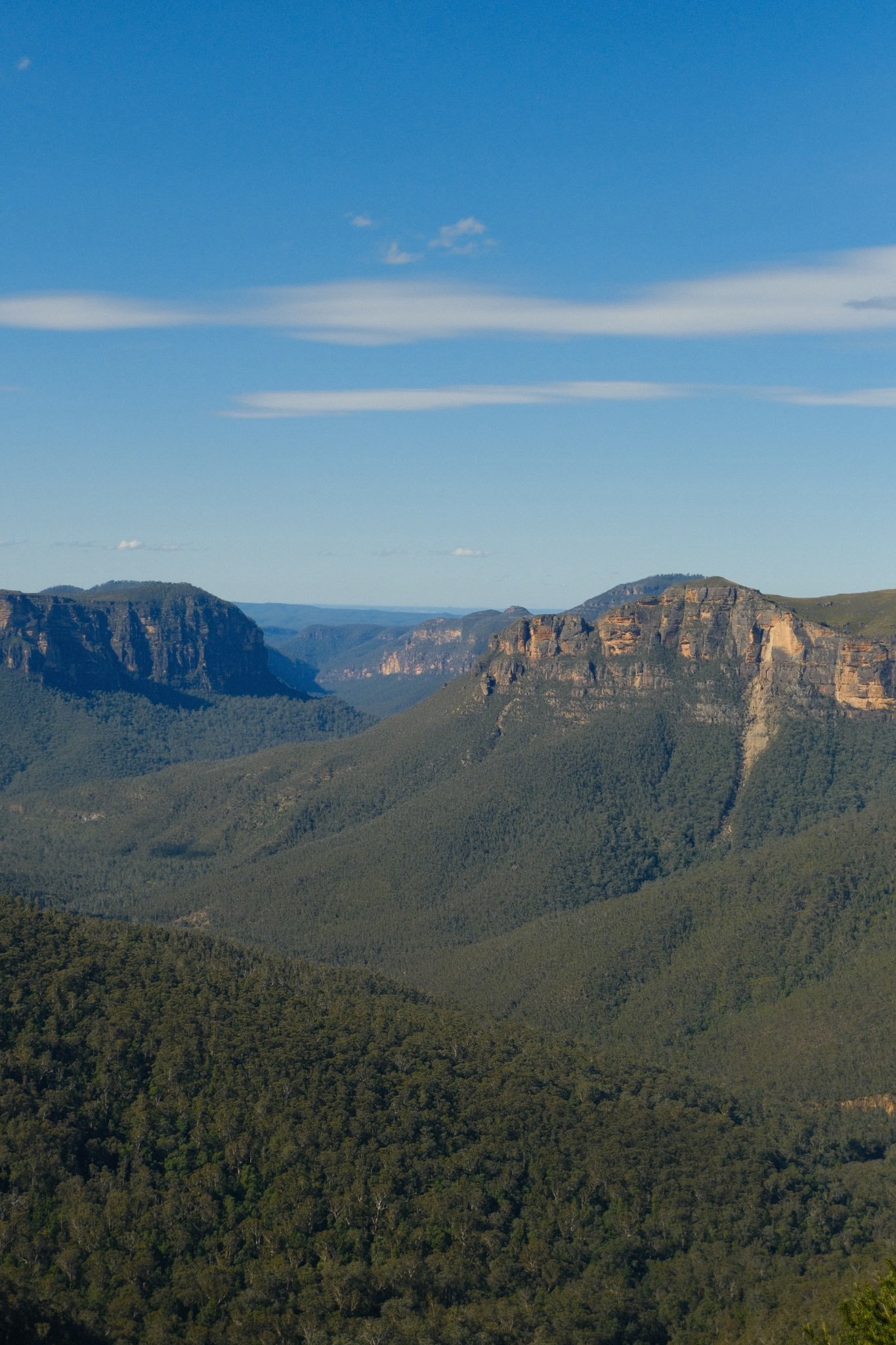 Sandstone cliffs and the Grose Valley from the Cliff Top Track